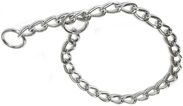 ¡5 tipos de collares que jamás debes usar con tu perro!