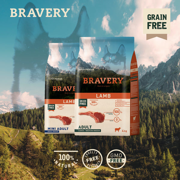 Como elegir el mejor alimento para perros Bravery