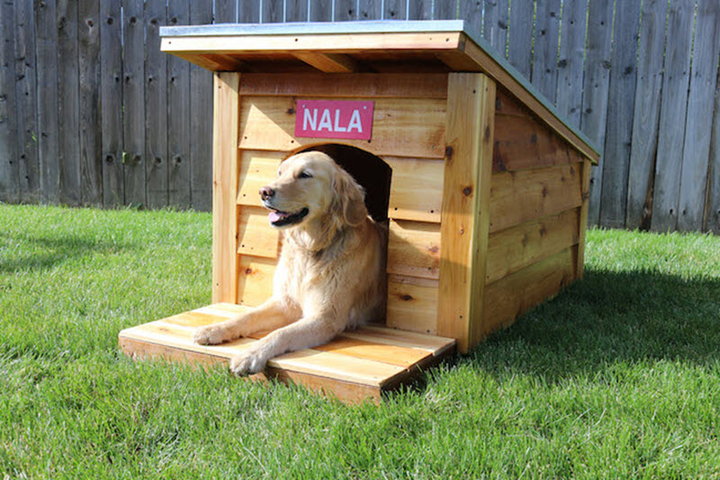 cama de perro de madera 