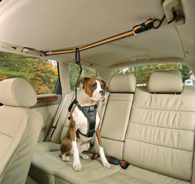 Correa-para-Perros-en-el-Auto