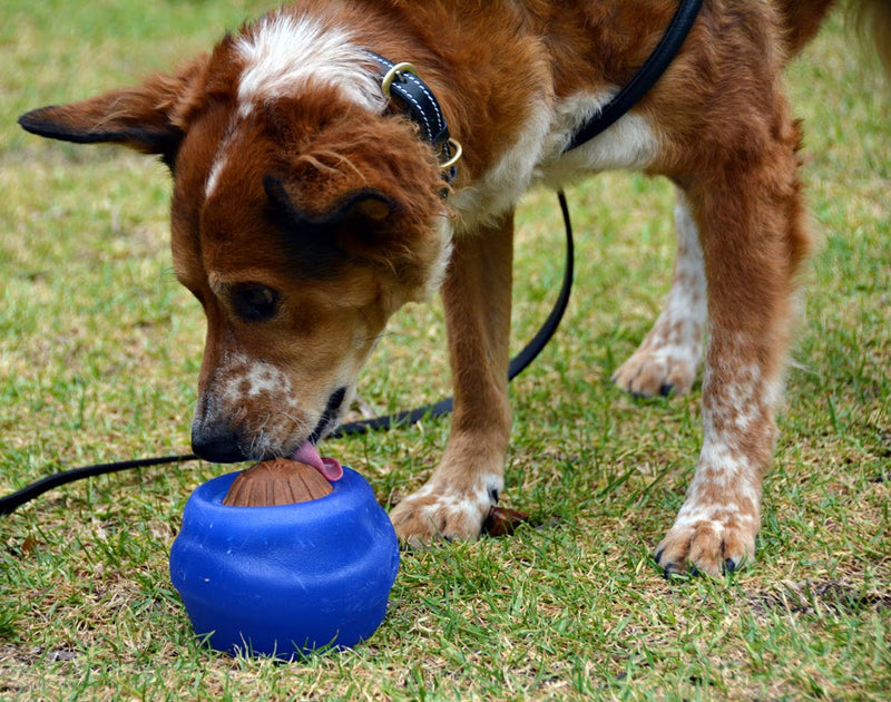 juguetes para perros