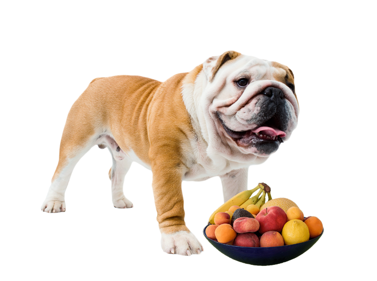 ¿Qué pasa si mi perro come una manzana?