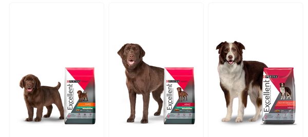 purina excellent