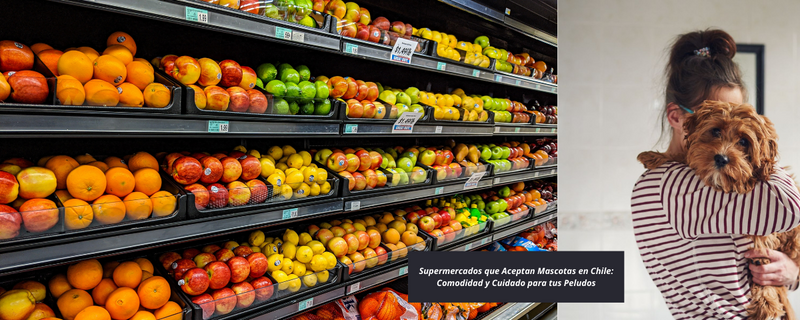 Supermercados que Aceptan Mascotas 