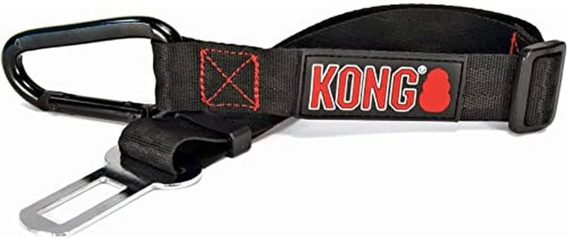 Kong cinturon de seguridad