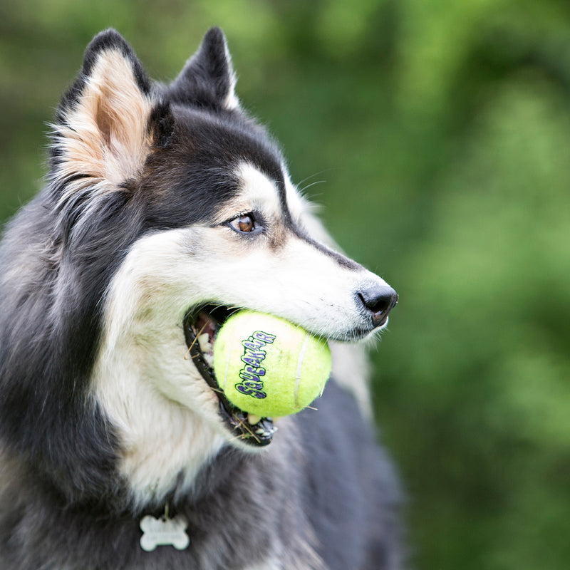 Kong Ball Air