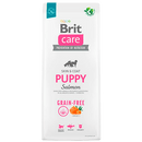 Brit Care Puppy Salmon