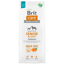 Brit Care Senior & Light Salmon