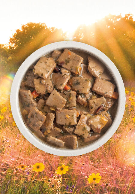 Acana Premium Pate Pato en caldo 360 g