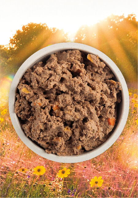 Acana Premium Pate Cachorros 360 g