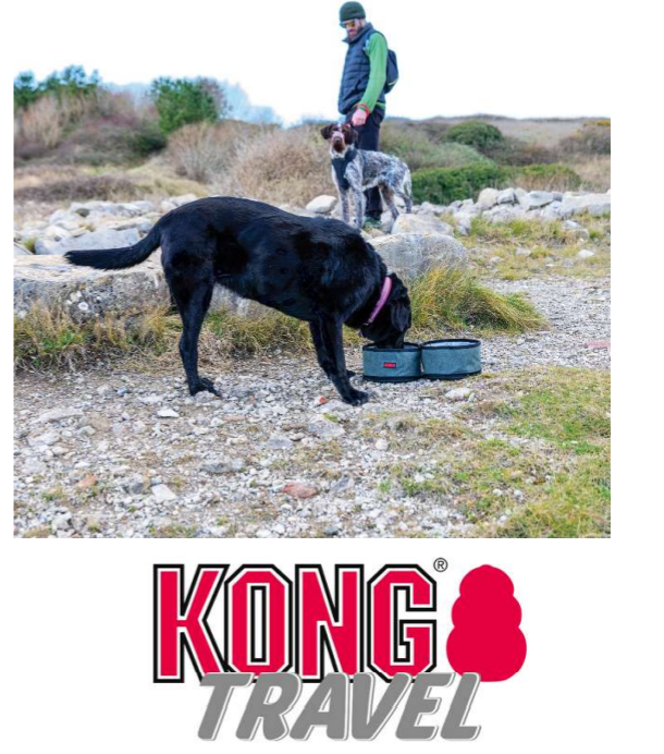 Kong Fold-Up Travel Bowl Set