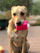 SodaPup MKB Surf's Up Retro Van - Large - Rosa (TPE)