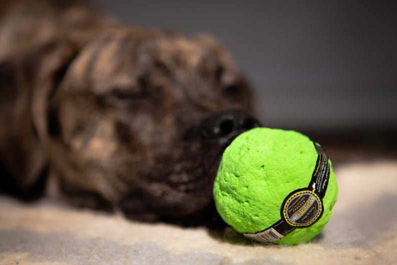 Wacky Wunderball 'Pelota Entrenamiento' Verde